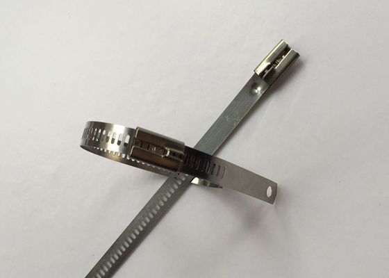 Китай Связи кабеля стиля лестницы СС304, застежка-молния кабеля нержавеющей стали связывают ширину 12мм поставщик